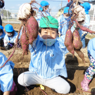 芋掘り・後期健康診断・園外保育 写真